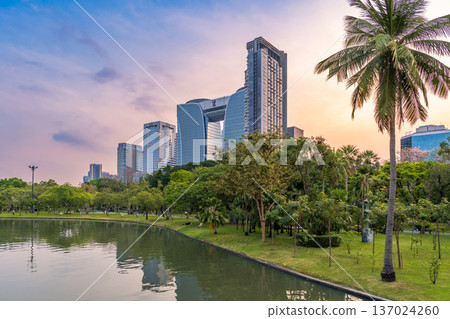 Scenic view of Chatuchak Park lake at sunrise with palm trees and modern skyscrapers reflecting in the water Scenic view of Chatuchak Park lake at sunrise with palm trees and modern skyscrapers reflecting in the water 137024260