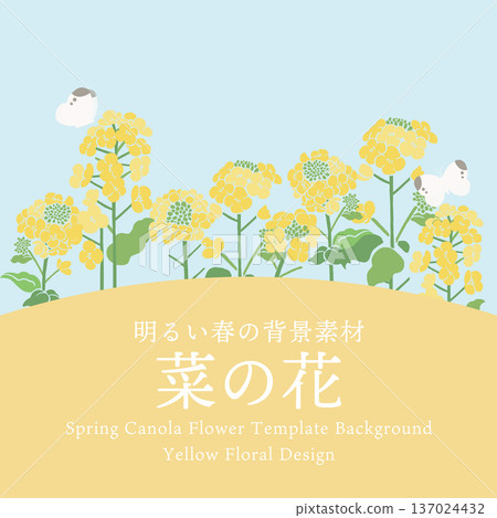 紡織風格油菜花向量插圖範本 | 春季花卉背景,日式現代設計素材 紡織風格油菜花向量插圖範本 | 春季花卉背景,日式現代設計素材 137024432