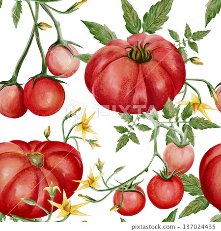 Seamless watercolor pattern with ripe red tomatoes, green leaves and yellow blossoms. Hand painted botanical illustration with garden vegetables isolated on light background, natural food design. High 137024435