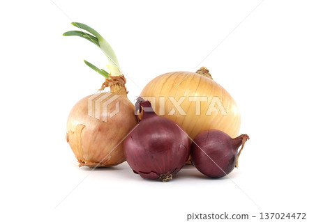 Group of yellow and red onions, one with green sprouts, isolated on white background 137024472