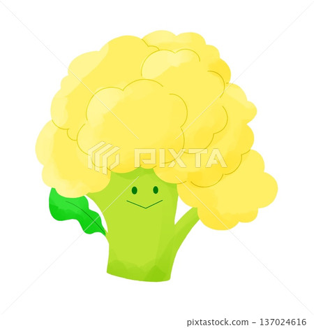 蓬鬆的黃色蔬菜 | 黃花椰菜 137024616