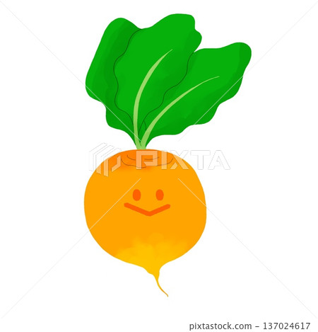 嫩黃色蔬菜 | 黃甜菜 137024617