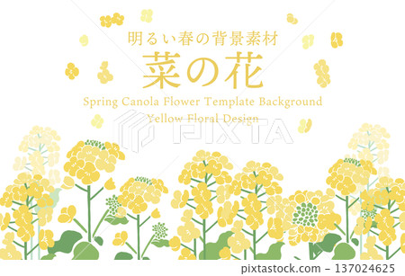 Textile-style rapeseed flower vector illustration template | Spring flower background, Japanese modern design material 137024625
