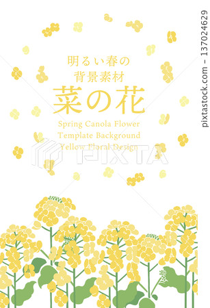 紡織風格油菜花向量插圖範本 | 春季花卉背景,日式現代設計素材 紡織風格油菜花向量插圖範本 | 春季花卉背景,日式現代設計素材 137024629