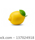 Lemon material 137024918