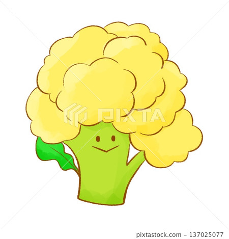 Fluffy yellow vegetables | Yellow cauliflower (line drawing) 137025077