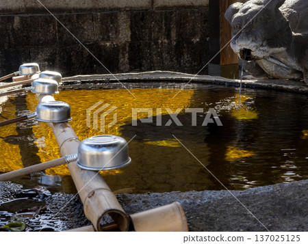 Purifying water: The shrine's chozuya and ladle sparkling in the sunlight Purifying water: The shrine's chozuya and ladle sparkling in the sunlight 137025125