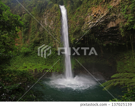 La Fortuna Waterfalls, Volcan Arenal area in Costa Rica 137025139