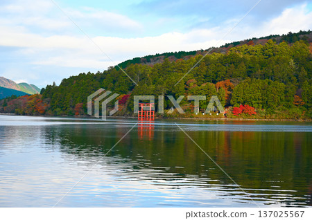 蘆之湖、和平鳥居、箱根町 蘆之湖、和平鳥居、箱根町 137025567