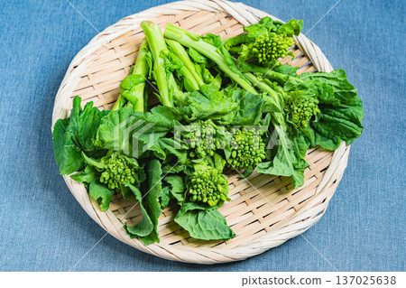 強姦開花 強姦開花 137025638