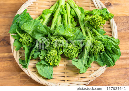 強姦開花 強姦開花 137025641