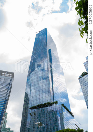 商業區的摩天大樓 137025662