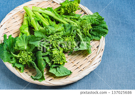 強姦開花 強姦開花 137025686