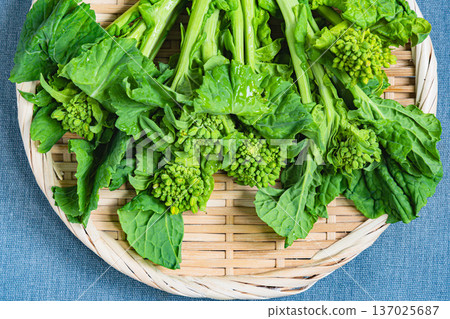 強姦開花 137025687