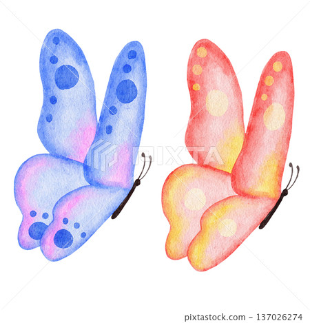 Watercolor hand drawn illustration of bright butterfly dragonfly insects. Natural forest butterflies in blue pink pastel soft colors. Wild wildlife nature ecology concept, cute whimsical art for Watercolor hand drawn illustration of bright butterfly dragonfly insects. Natural forest butterflies in blue pink pastel soft colors. Wild wildlife nature ecology concept, cute whimsical art for 137026274