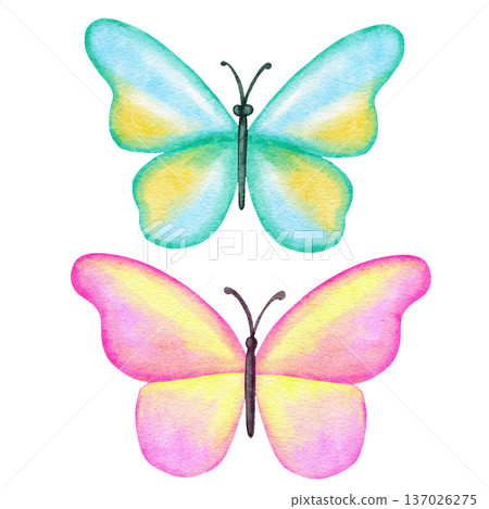 Watercolor hand drawn illustration of bright butterfly dragonfly insects. Natural forest butterflies in blue pink pastel soft colors. Wild wildlife nature ecology concept, cute whimsical art for 137026275
