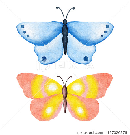 Watercolor hand drawn illustration of bright butterfly dragonfly insects. Natural forest butterflies in blue pink pastel soft colors. Wild wildlife nature ecology concept, cute whimsical art for Watercolor hand drawn illustration of bright butterfly dragonfly insects. Natural forest butterflies in blue pink pastel soft colors. Wild wildlife nature ecology concept, cute whimsical art for 137026276