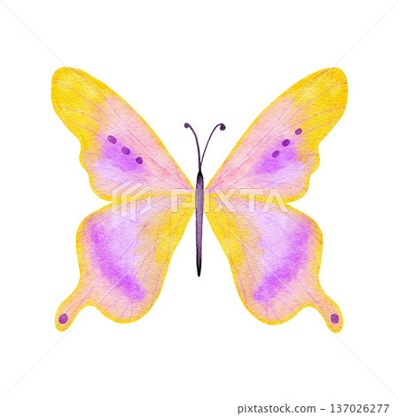 Watercolor hand drawn illustration of bright butterfly dragonfly insects. Natural forest butterflies in blue pink pastel soft colors. Wild wildlife nature ecology concept, cute whimsical art for Watercolor hand drawn illustration of bright butterfly dragonfly insects. Natural forest butterflies in blue pink pastel soft colors. Wild wildlife nature ecology concept, cute whimsical art for 137026277