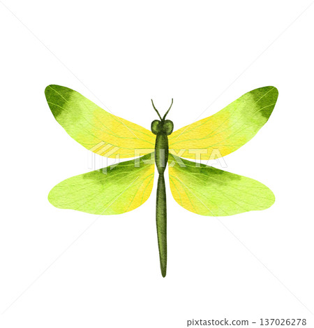 Watercolor hand drawn illustration of bright butterfly dragonfly insects. Natural forest butterflies in blue pink pastel soft colors. Wild wildlife nature ecology concept, cute whimsical art for 137026278