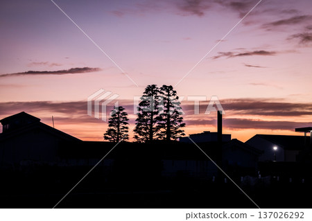 Cityscape at dusk Cityscape at dusk 137026292