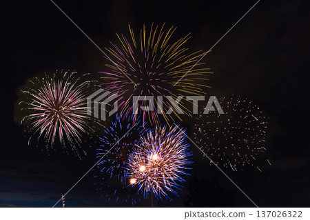 埼玉市煙火大會大和田公園會場 埼玉市煙火大會大和田公園會場 137026322
