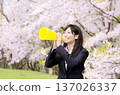 辦公室女郎在櫻花樹下用擴音器加油 137026337