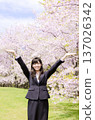 辦公室女郎在櫻花樹下攤開雙手 137026342