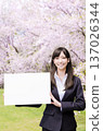 櫻花樹下，一位OL拿著白板。 137026344
