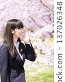 上班族女工們在櫻花樹下歡呼 137026348