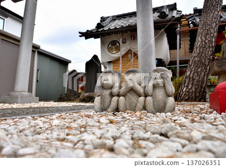 The Three Wise Monkeys of Toshogu Shrine after Funabashi Palace in Chiba 137026351