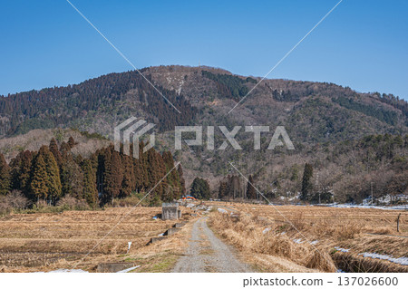 Rural scenery of Lake Biwa in early spring, Nagahara, Nagahama City, Shiga Prefecture 137026600