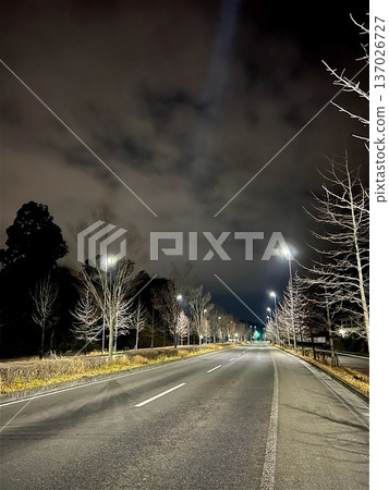 A straight deserted road with streetlights at night A straight deserted road with streetlights at night 137026727