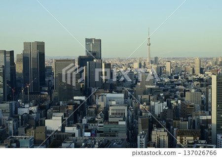 東京城市景觀與東京晴空塔：晴朗的陽光燦爛的一天 137026766