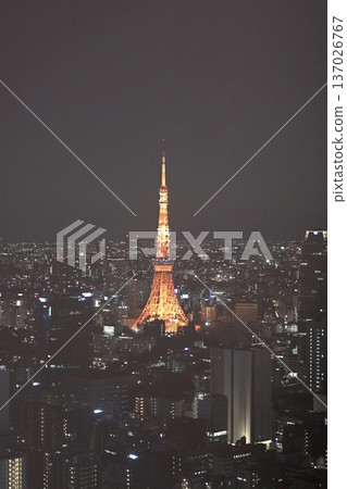 東京鐵塔與夜景：璀璨的城市景觀 137026767