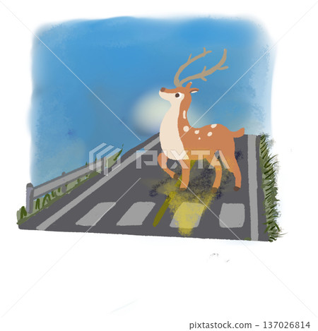 清晨，一隻鹿抬頭望路。交通安全插圖，藍天背景。 137026814