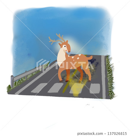 Deer stopping on the road early in the morning Traffic safety illustration Blue sky background Deer stopping on the road early in the morning Traffic safety illustration Blue sky background 137026815