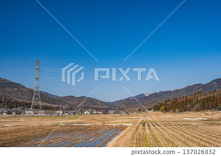 滋賀縣長濱市長原町琵琶湖早春鄉村景色 137026832