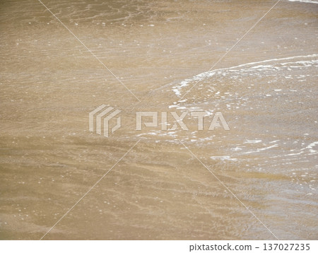 Calm seaside foam textures, Minimalist coastal surface with subtle wet sheen and ripple design Calm seaside foam textures, Minimalist coastal surface with subtle wet sheen and ripple design 137027235