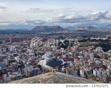 Abandoned walls showcase scenic vistas, Degraded fortresses offer stunning city and mountain views 137027271