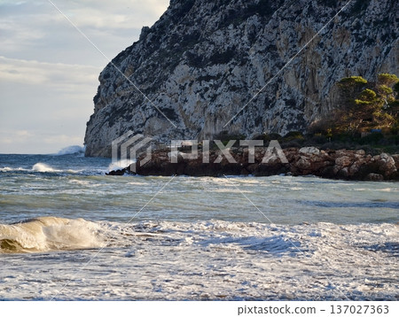 Scenic nature retreat, Serene coastal landscape setting, Peaceful cove with pine trees and surf 137027363
