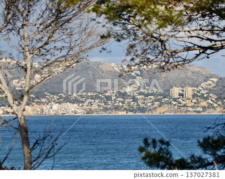 Peaceful coastal landscape with trees, Tranquil seaside scene with greenery framing distant town Peaceful coastal landscape with trees, Tranquil seaside scene with greenery framing distant town 137027381