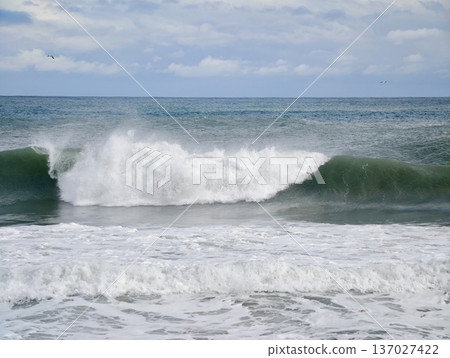 Balanced tubular wave illustrating ocean texture with striking tunnel opening and glassy surface highlights Balanced tubular wave illustrating ocean texture with striking tunnel opening and glassy surface highlights 137027422