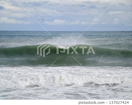 Surf splashes with energetic motion, Crashing breakers generate lively white water and energetic foam Surf splashes with energetic motion, Crashing breakers generate lively white water and energetic foam 137027424