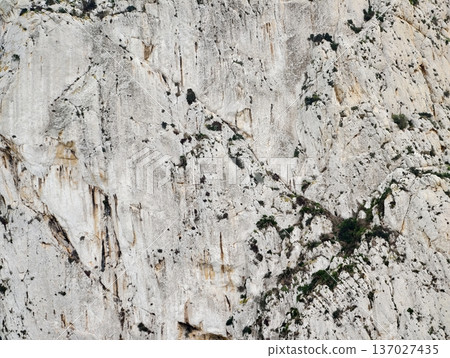 Natural limestone with cavities, Detailed view of weathered limestone with numerous holes and patterns 137027435