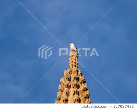 Ocean bird rests on remote steeple silhouette, Seagull perches high above vast blue expanse and solitude 137027488