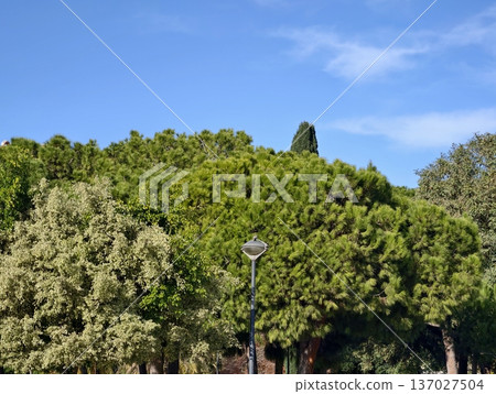 Bright day highlights park and sky scene, Greenbelt and structures blend in tranquil daylight scene Bright day highlights park and sky scene, Greenbelt and structures blend in tranquil daylight scene 137027504