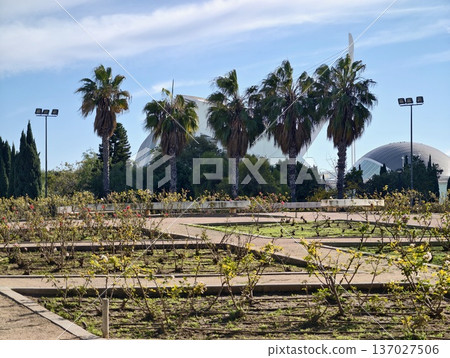 Sunny park with blooming vines, Peaceful city green space with vibrant plant life and pathways Sunny park with blooming vines, Peaceful city green space with vibrant plant life and pathways 137027506
