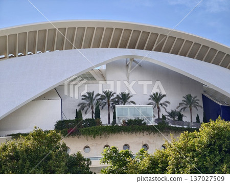 Serene modern museum setting, Peaceful museum space featuring circular openings and vibrant greenery Serene modern museum setting, Peaceful museum space featuring circular openings and vibrant greenery 137027509