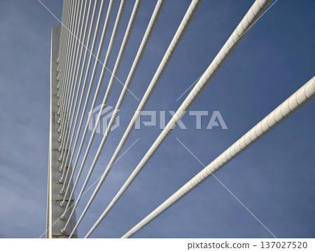 Bridge cables displaying strength, Converging steel cables illustrating architectural stability and power Bridge cables displaying strength, Converging steel cables illustrating architectural stability and power 137027520
