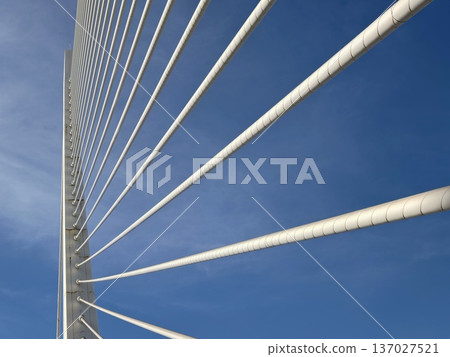 Modern bridge spans sky high, Closeup of taut steel cables and towering pylon beneath bright blue sky 137027521